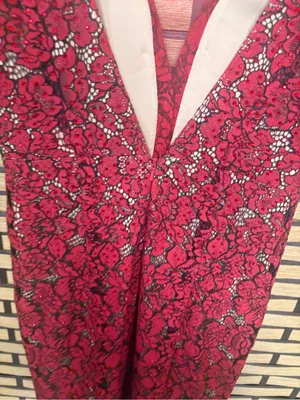 Ellie Wilde mon Cheri red and tan lace gown size 4 thumbnail 8