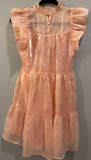 Entro Shimmery High Neck Ruffle Sleeve Dress thumbnail 5