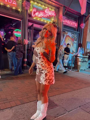 Show Me Your Mumu Dress thumbnail 3