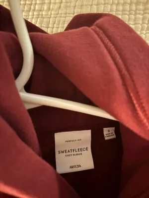 Aritzia Hoodie thumbnail 3