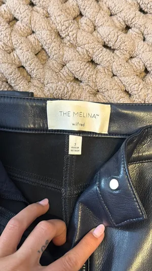 Aritzia Melina Pants thumbnail 2
