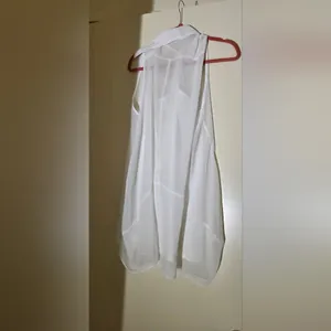Sheer dress with slip Size M thumbnail 3