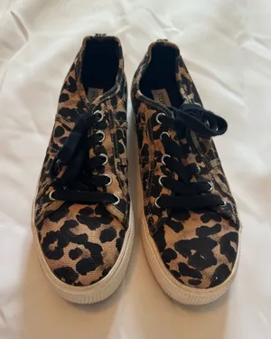 Steve Madden Leopard Print Canvas Sneakers with Black Laces thumbnail 1
