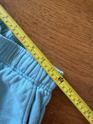 The North Face Sweatpant Shorts thumbnail 4