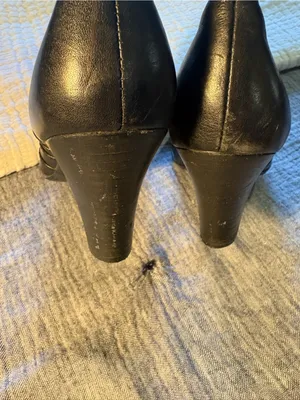Born Black Leather Knee High Heeled Boots size 9 thumbnail 7