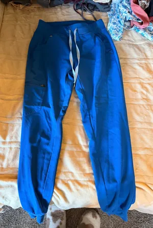 FIGS Jogger Pants thumbnail 1