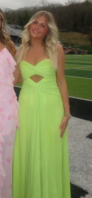Likely Gown thumbnail 4