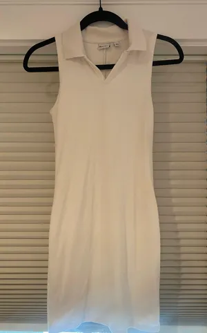 Aritzia Dress thumbnail 1