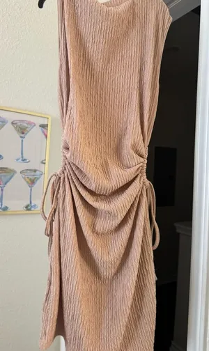 Ruched Tan Dress thumbnail 1