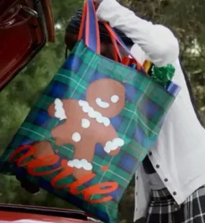 Aerie Limited Edition Reusable Tote Bag thumbnail 1