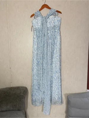 NWT Birdy Grey Women’s Grace Chiffon Maxi Dress with Slit Blue Dreamy Ditsy XXL thumbnail 6