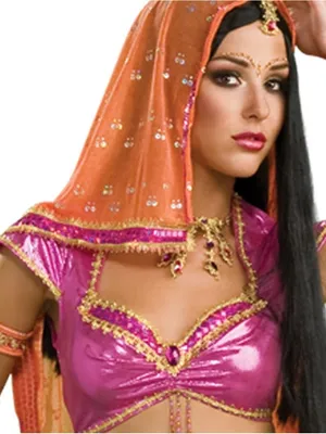 NWT womens Secret Wishes Sexy Bollywood Dancer Costume Halloween XS thumbnail 2