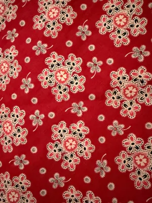 Red floral skirt Orange thumbnail 2
