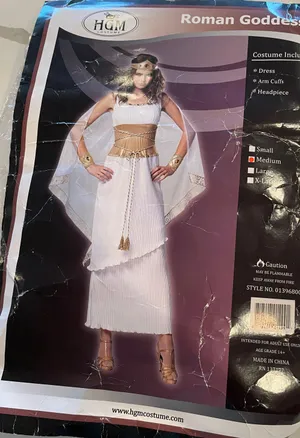 Spirit Roman Goddess Costume thumbnail 6