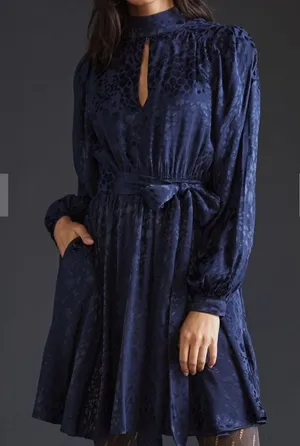 NWT Anthropologie navy Jacquard Mini Dress size xs thumbnail 1