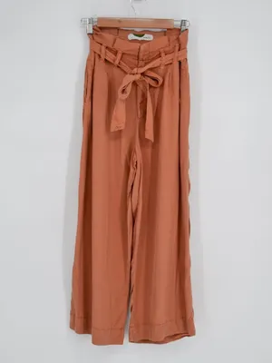 Anthropologie Blythe High Waist Wide Leg Paperbag Pants Terracotta Size 4 thumbnail 2