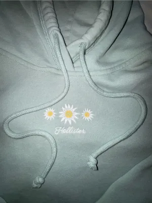 Hollister Daisy Pullover Hoodie - Pale Blue thumbnail 2