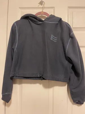 Champion Crop Hoodie Reverse Weave thumbnail 1
