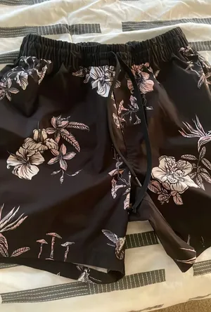 Men’s Vans Shorts thumbnail 1
