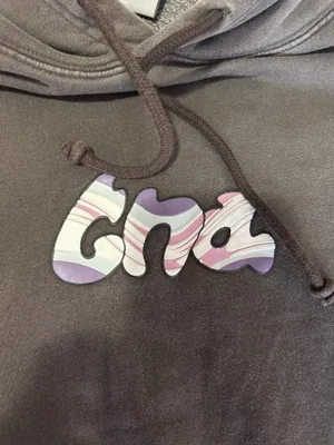 Limited Edition Aritzia TNA hoodie  thumbnail 2