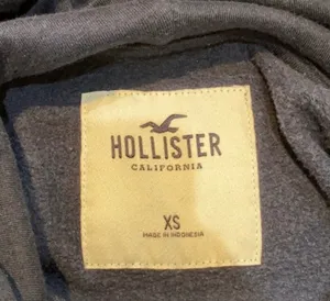 Hollister Hoodie thumbnail 2