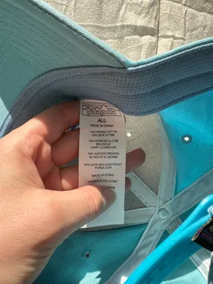 Patagonia Hat Trucker Blue thumbnail 4