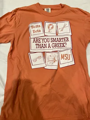 Comfort Colors Delta Zeta Tee thumbnail 1