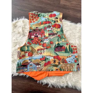 Vintage Handmade Harvest Pumpkin Hay Ride Fall Thanksgiving Vest Top OS thumbnail 3