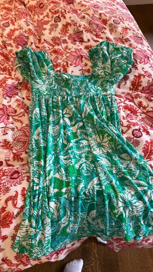 Lily Pulitzer Lilly Dress thumbnail 5
