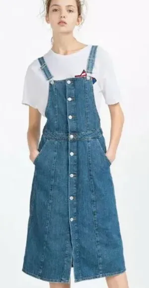 Zara Denim Button-Down Dress thumbnail 1