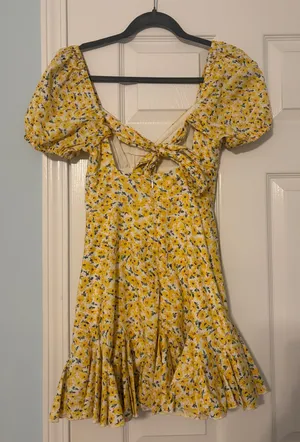 Hello Molly Dress thumbnail 2