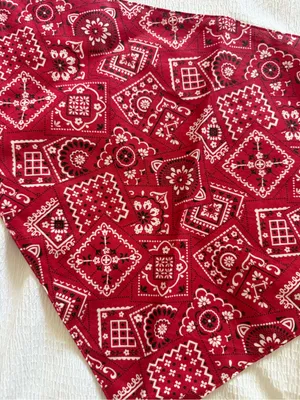 Reversible Bandana Triangle Scarf Accessories Tie Scarf Country Festival Western thumbnail 3