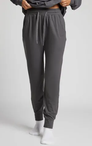 Comfrt Medium AllDayJersey Jogger Pants in Steel Grey thumbnail 1