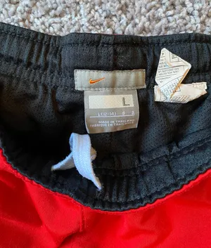 Nike Shorts thumbnail 2