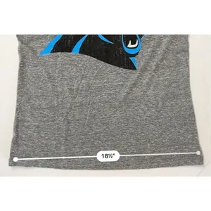 2/$20 NFL Team Carolina Panthers Gray Vneck Tee Shirt M(10-12) Graphic T-shirt thumbnail 6