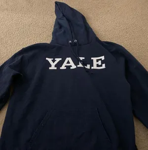 Hoodie Champion thumbnail 1
