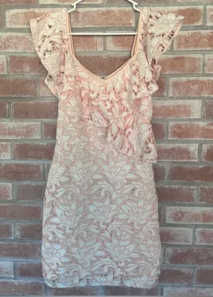 Club Monaco Lace Dress Sheath Women’s 00 Pink Ruffle Feminine Angel Coquette thumbnail 1