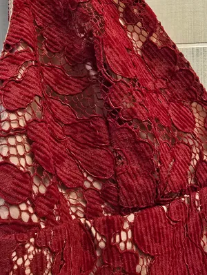 {6} Free People Dangerous Love Lace Mini Dress Red Nude Spaghetti Strap thumbnail 4