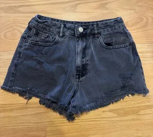 PacSun Shorts thumbnail 1