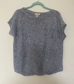 Ann Taylor Loft Women's Short Sleeve Blue White Rayon Blend Soft Sweater Large M thumbnail 1