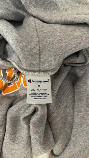Tennessee Champion Hoodie thumbnail 3