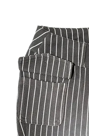 🍙 NWOT SHEIN ICON Gray/White Pinstriped Fit & Flare Pants thumbnail 6