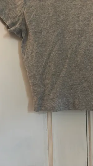 Hollister Cropped T-Shirt Grey thumbnail 4
