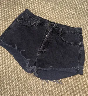 Aritzia Denim Forum Shorts thumbnail 1