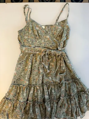 Francesca’s Dress thumbnail 1