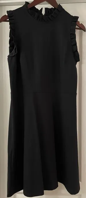 LOFT Black Dress, Ruffle Collar and Sleeve, Size S thumbnail 1