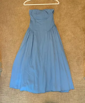 Strapless Meshki Dress thumbnail 1
