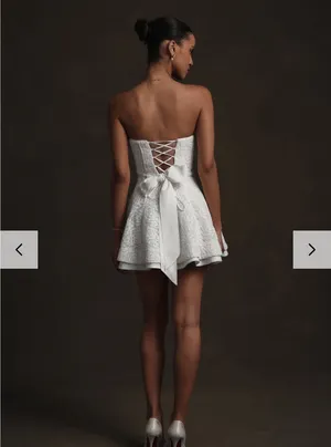 V Chapman Rosemary Mini Dress thumbnail 2