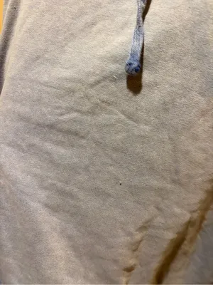 Anthropologie Pilcro Oversized Hoodie size L/XL thumbnail 5