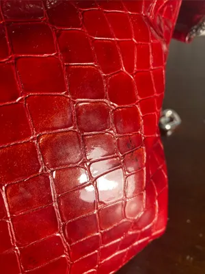 Brighton Chere Red Croc-Embossed Shoulder Bag thumbnail 9